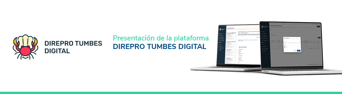 Computer screen displaying the DIREPRO Tumbes Digital system
