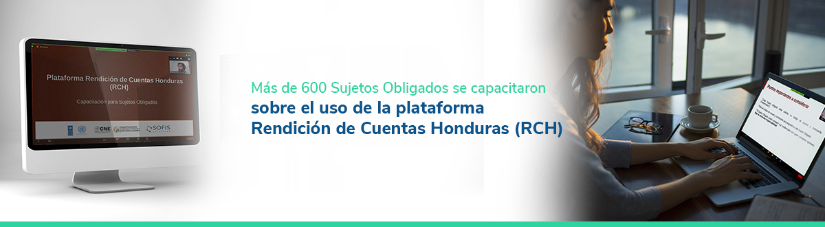 Persona viendo una presentación en una computadora.