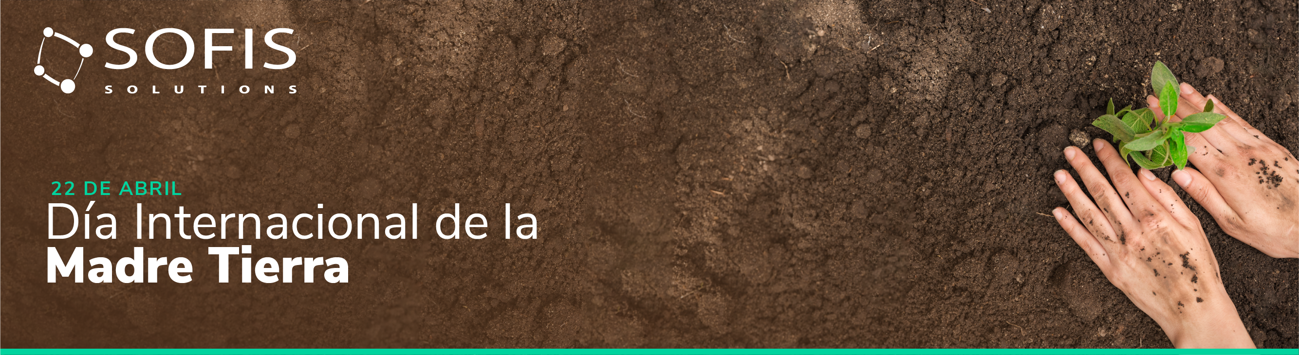 Pessoa a plantar uma planta