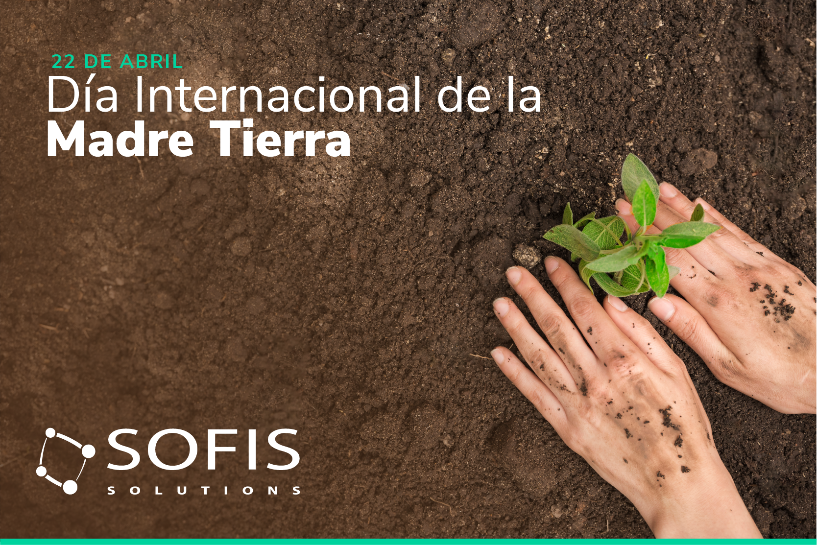 Pessoa a plantar uma planta